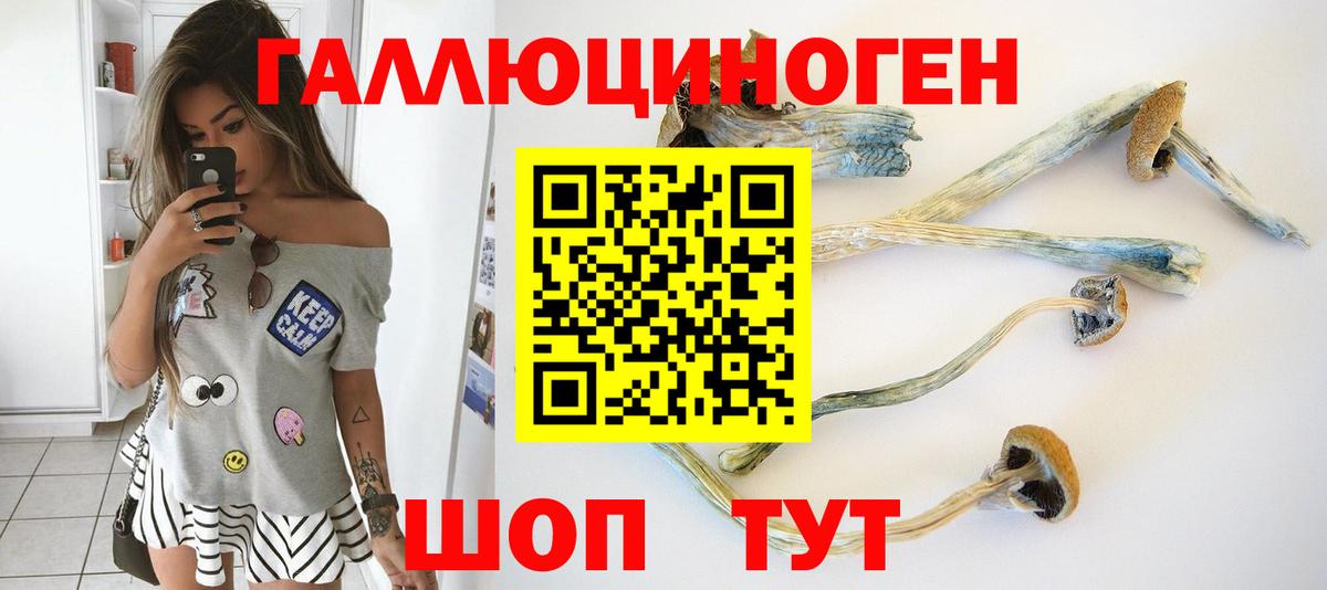 Галлюциногенные грибы Cubensis Псков