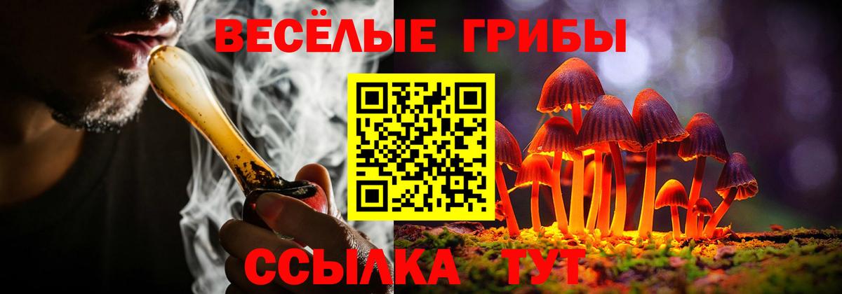 Псков  Галлюциногенные грибы мухоморы  Вход с VPN 